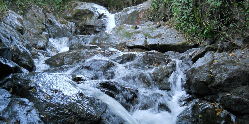 mills-valley-fall-1946294953